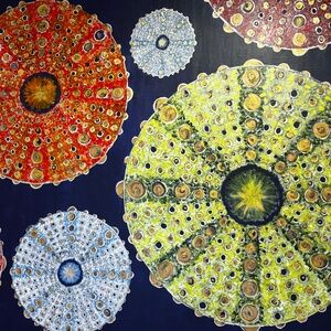 Meet your Posher, Susannah